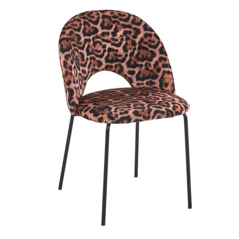 Chair cave - leopard