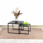 Salontafel set van 2 Sanne mangohout zwart