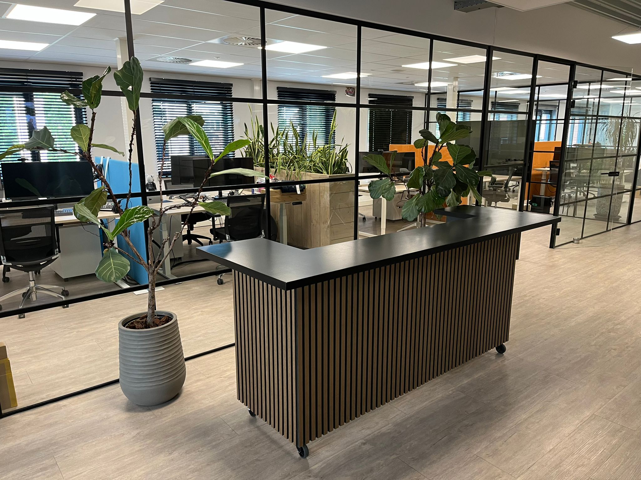 Eikenhouten toonbank Aimee met akoestische panelen