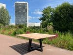 Douglashouten tafel Martien