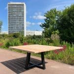 Douglashouten tafel Martien